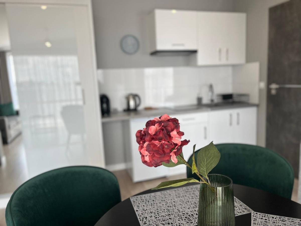 Apartamenty Blast Nad Morzem Chłopy Dış mekan fotoğraf